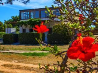 Casa Relax Acqua Marina Daire Favignana Dış mekan fotoğraf