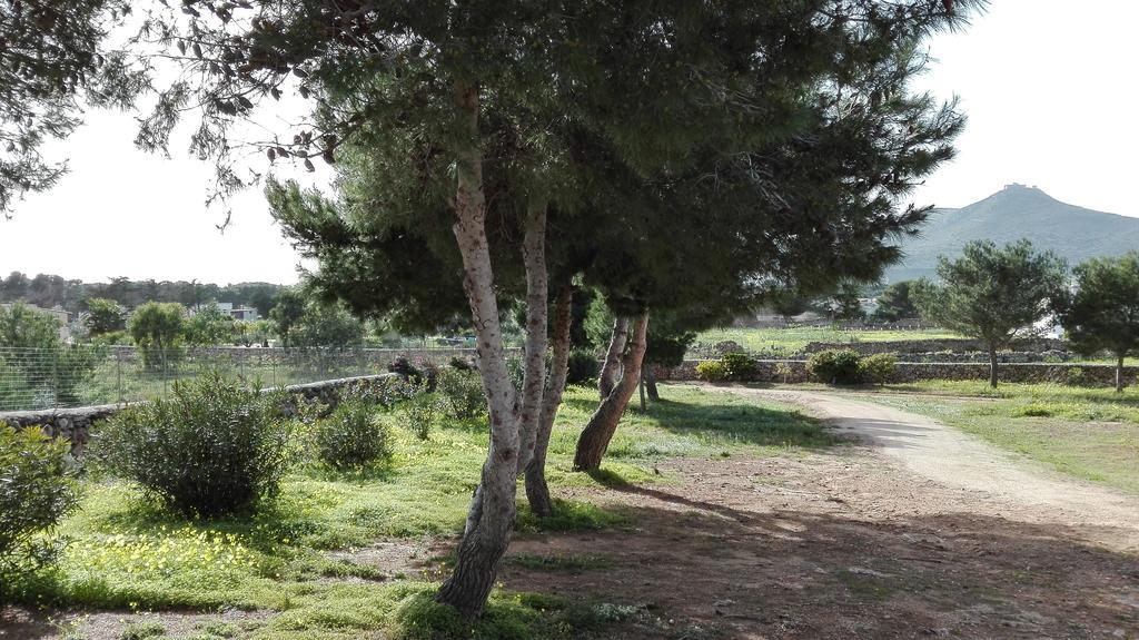 Casa Relax Acqua Marina Daire Favignana Dış mekan fotoğraf