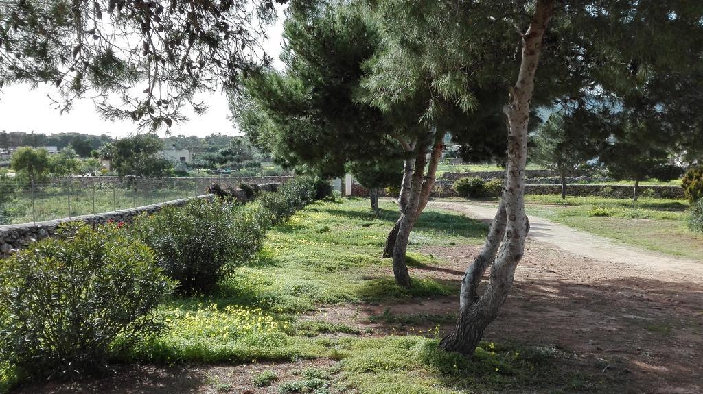 Casa Relax Acqua Marina Daire Favignana Dış mekan fotoğraf