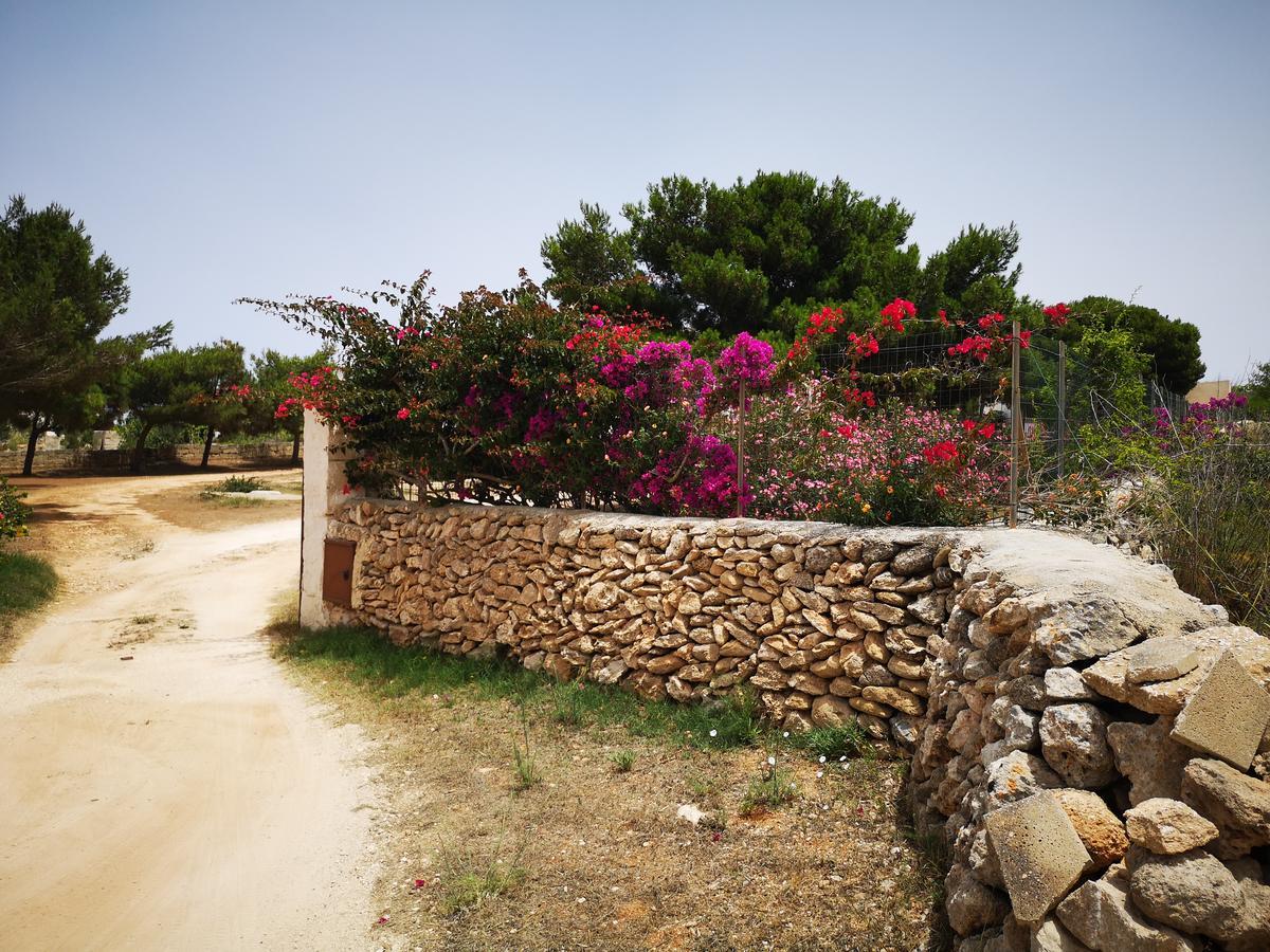 Casa Relax Acqua Marina Daire Favignana Dış mekan fotoğraf